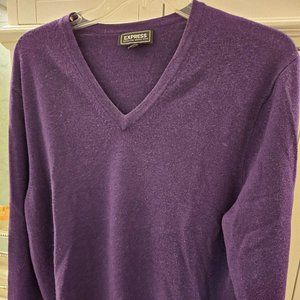Express Mens Extra Fine Merino Wool V-Neck Sweater, Purple, Size M